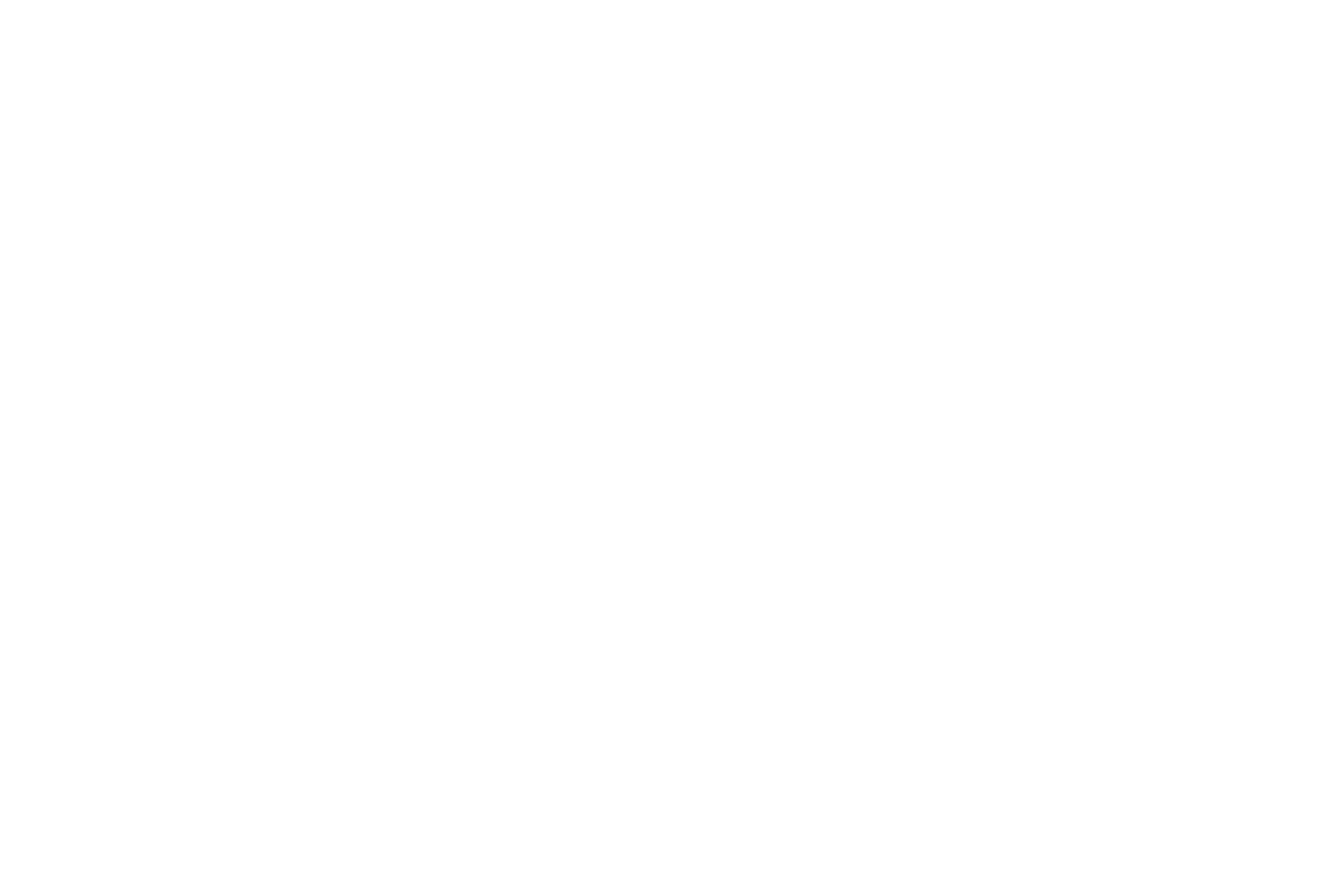Omni Car Rentals